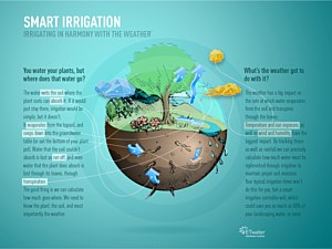 Lighting & Irrigation