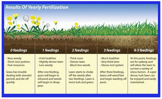 yearly_fertilization_diagram.jpg